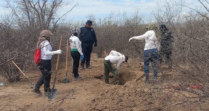 Van 33 osamentas las halladas en el Graciano Sánchez; en un total de 16 fosas clandestinas, puestas al descubierto por Guerreras Buscadoras.