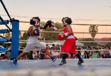 Fomenta Ayuntamiento el deporte con exitosa exhibición de box amateur