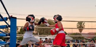 Fomenta Ayuntamiento el deporte con exitosa exhibición de box amateur