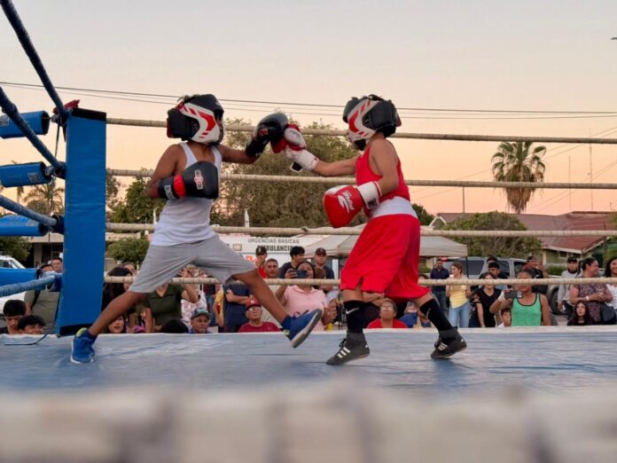 Fomenta Ayuntamiento el deporte con exitosa exhibición de box amateur; como parte de las acciones que impulsa el Gobierno Municipal para promover la actividad física y fortalecer la sana convivencia.
