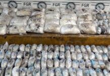 Investigan decomiso de casi 146 kilos de metanfetamina