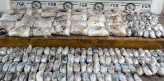 Investigan decomiso de casi 146 kilos de metanfetamina