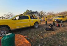 Continúan luchando contra incendio forestal en Arivechi