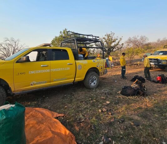 Continúan luchando contra incendio forestal en Arivechi