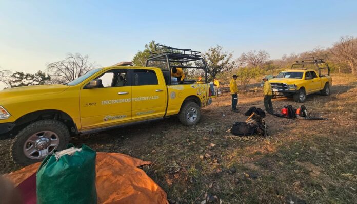 : Continúan luchando contra incendio forestal en Arivechi; se ha incrementado a 73 el número de combatientes forestales.