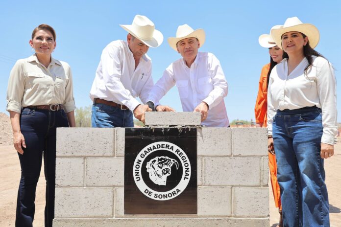 Respiro para ganadería: Arranca Durazo obra estratégica para industrialización de la carne sonorense