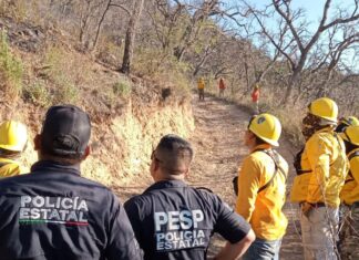 Policía Estatal participa en operativos con unidades de emergencia para combatir incendio forestal en Arivechi