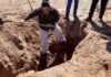 Hallan osamenta humana completa en una fosa clandestina