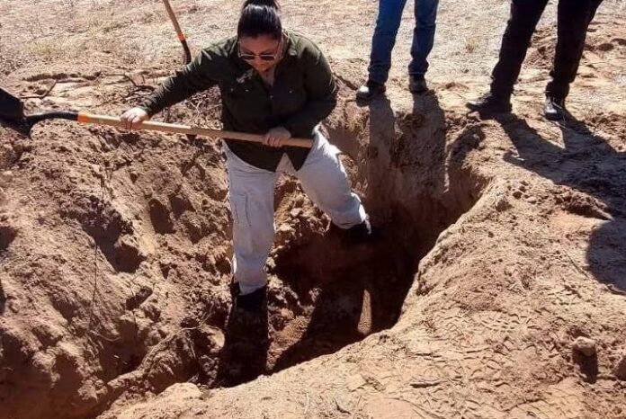 #Etchojoa: Hallan osamenta humana completa en una fosa clandestina; jornada con resultados positivos de Buscadoras Huatabampo Sonora A.C.