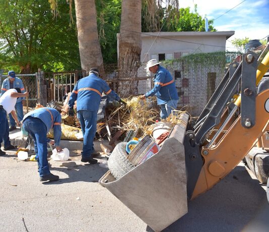 Llevará Gobierno de Hermosillo jornadas de descacharre a la zona urbana y rural