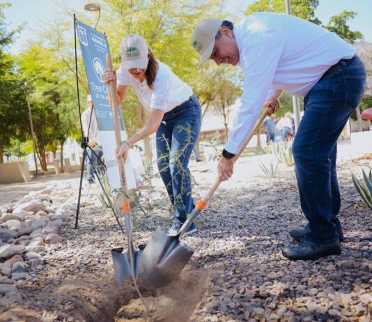 Plantación de más 113 mil árboles ayudan a mejorar el medio ambiente: Toño Astiazarán