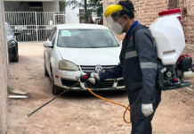 Refuerzan acciones contra la rickettsia con más de 2 mil 600 fumigaciones