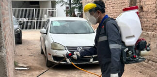 Refuerzan acciones contra la rickettsia con más de 2 mil 600 fumigaciones