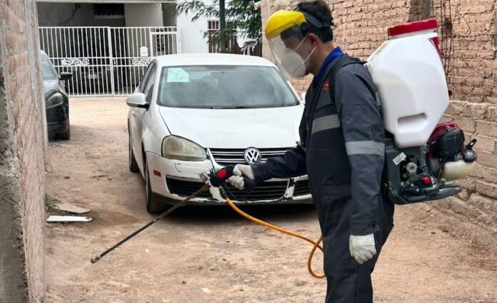 : Refuerzan acciones contra la rickettsia con más de 2 mil 600 fumigaciones; con la llegada de las altas temperaturas, en Sonora.