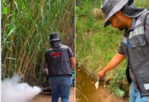 Exhortan a eliminar criaderos de mosquitos tras las lluvias registradas en el estado