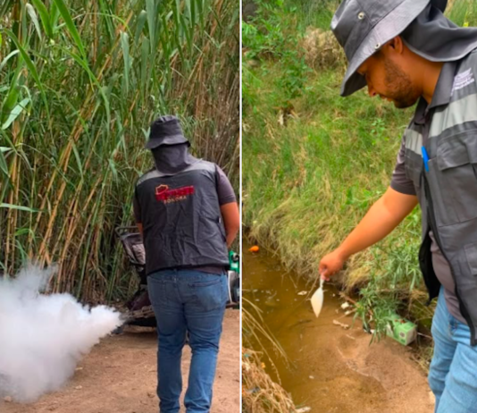 Exhortan a eliminar criaderos de mosquitos tras las lluvias registradas en el estado