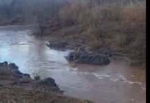 Quiriego y Ures, municipios con las lluvias más importantes en las últimas horas