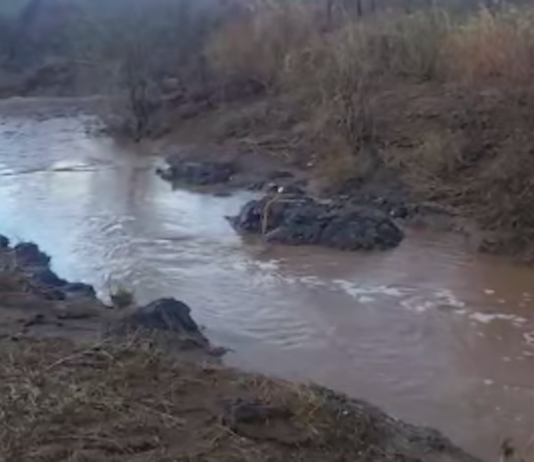 Quiriego y Ures, municipios con las lluvias más importantes en las últimas horas