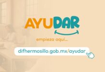 Invitan a sumar esfuerzos con asociaciones civiles a través de la Plataforma AYUDAR