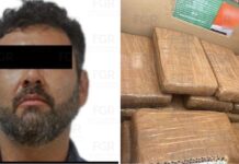 Llevaba en un tráiler 14 kilos de fentanilo, estará preso 10 años