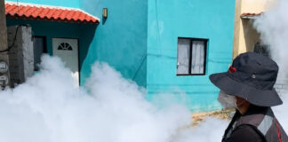 Mantener patios y viviendas limpias es la medida más efectiva contra el dengue