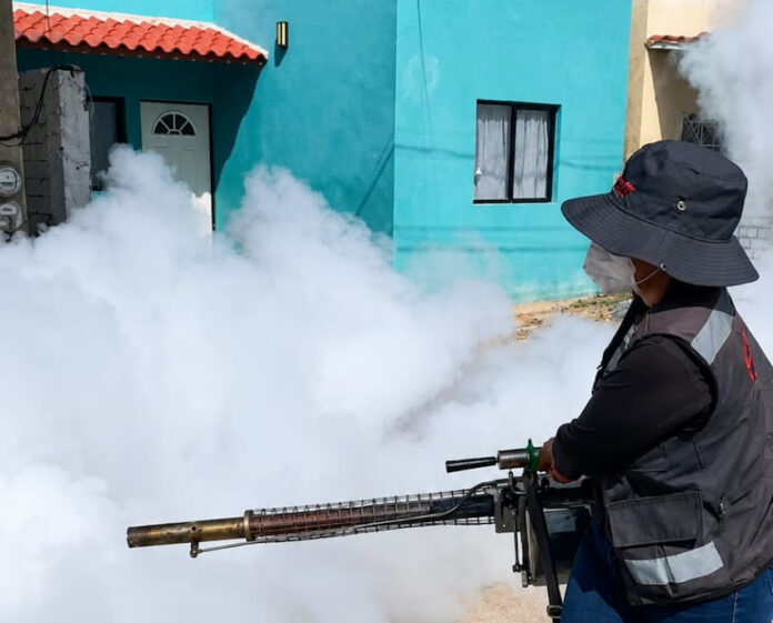 Mantener patios y viviendas limpias es la medida más efectiva contra el dengue; la fumigación complementa la prevención.