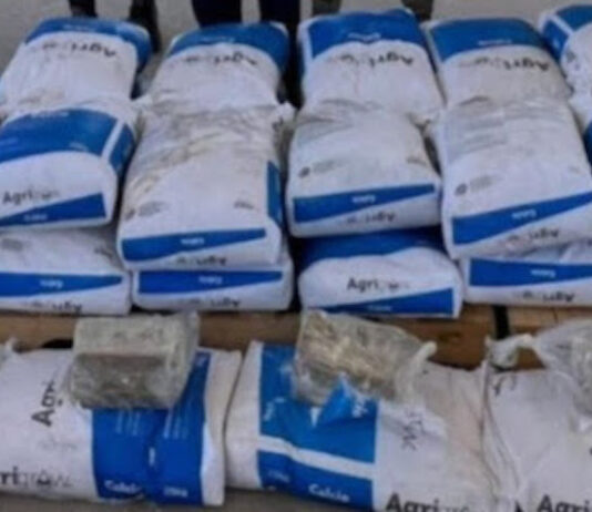Decomisan 17 millones de dosis de droga en tan solo una semana