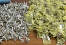 Confiscan más de 600 dosis de droga, en acciones por separado