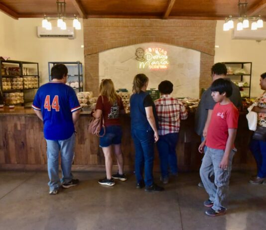 Invitan a recorridos históricos del HBus durante este periodo vacacional