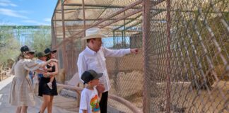 Gobernador Durazo reaviva Centro Ecológico de Sonora; se registran 73 nacimientos en 2026