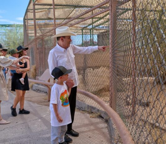 Gobernador Durazo reaviva Centro Ecológico de Sonora; se registran 73 nacimientos en 2026