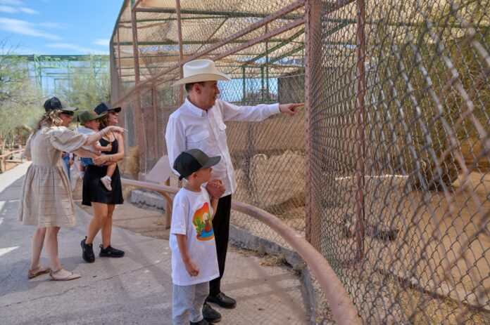 Gobernador Durazo reaviva Centro Ecológico de Sonora; se registran 73 nacimientos en 2026; el mandatario estatal destacó que el Centro Ecológico registra 73 nacimientos durante el primer semestre de 2026, esto como resultado de las acciones de rescate de este parque para garantizar su conservación, bienestar animal, y manejo especializado.