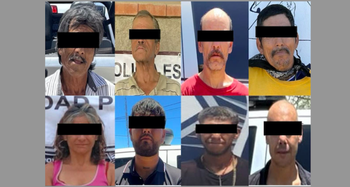 Intensifican patrullajes e inteligencia contra el narcomenudeo; aseguran más de 400 dosis de droga en operativos de seguridad y combate al delito.