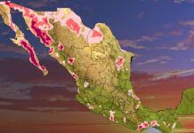 Temperaturas por arriba de los 45 grados se esperan en la tarde de hoy