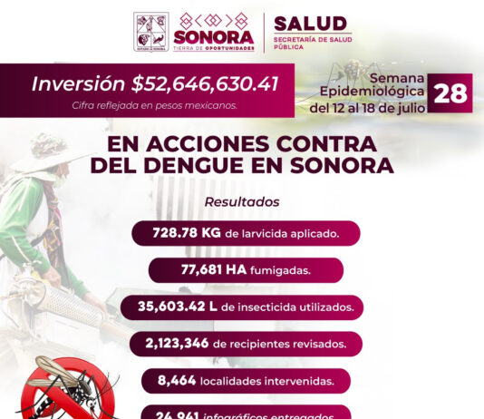 Llaman a eliminar criaderos para prevenir el dengue