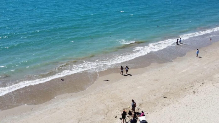 Mantiene Coesprisson vigilancia sanitaria en playas y albercas de Sonora; para que las familias puedan disfrutar de estos espacios con tranquilidad durante el periodo vacacional de verano.