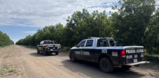 Mantienen operativos de prevención y vigilancia