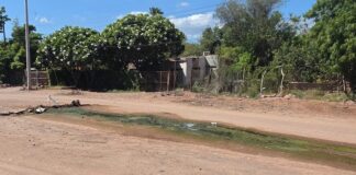 Urgente desazolvar drenaje sanitario en Vícam