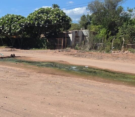 Urgente desazolvar drenaje sanitario en Vícam