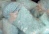 Con información de la DEA aseguran 120 kilos de pastillas de fentanilo