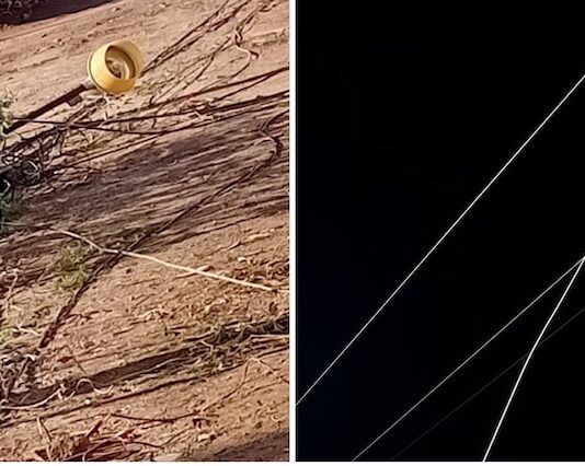 Tormenta derribó 13 postes y 11 árboles en Guaymas y Empalme