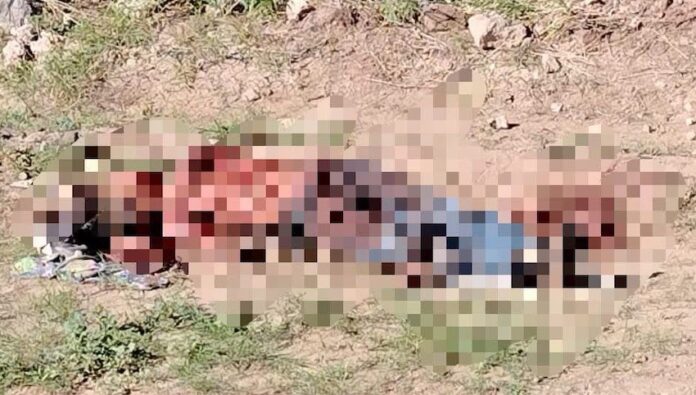 Localizan cuerpo sin vida al sur de Empalme; sobre la carretera internacional, a la altura del kilómetro 79, inmediciones de la curva de El Carrizo.