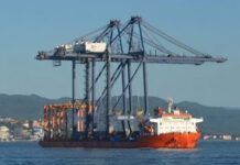 Llegan en septiembre al puerto dos grúas para manejo de contenedores