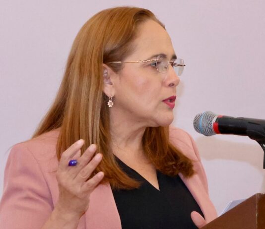 Guaymas avanza con nuevas viviendas, infraestructura y mejores servicios públicos: Karla Córdova
