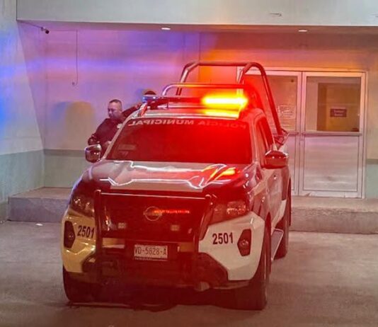 Su hermano lo mató cuando defendía a su madre