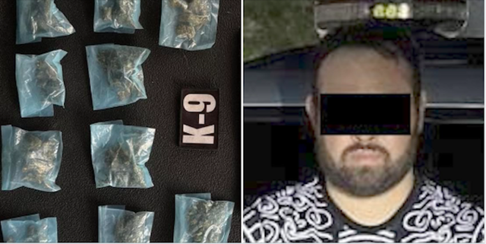 Capturan a sujeto en posesión de droga; ejemplar canino “Bella II” delató a Armando “N”, de 32 años de edad.