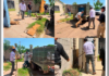 Rescatan a 4 cachorros en cateo por maltrato animal y abandono