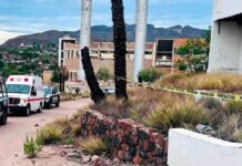 Un perro delató la presencia de cuerpo suspendido, en las ruinas de la Termo 1