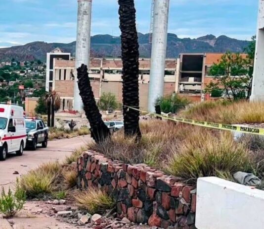 Un perro delató la presencia de cuerpo suspendido, en las ruinas de la Termo 1