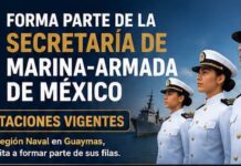 Marina-Armada de México está contratando personal